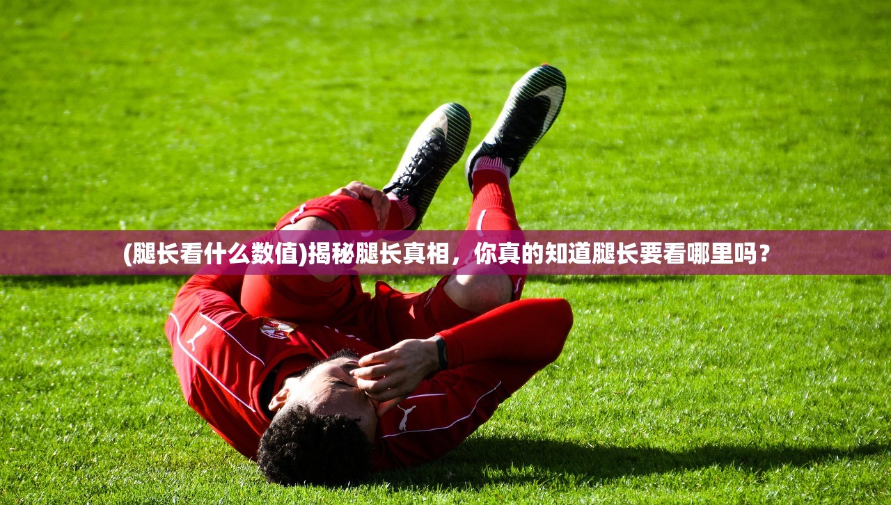 (墨剑江湖攻略大全最新)墨剑江湖全面攻略，从入门到精通