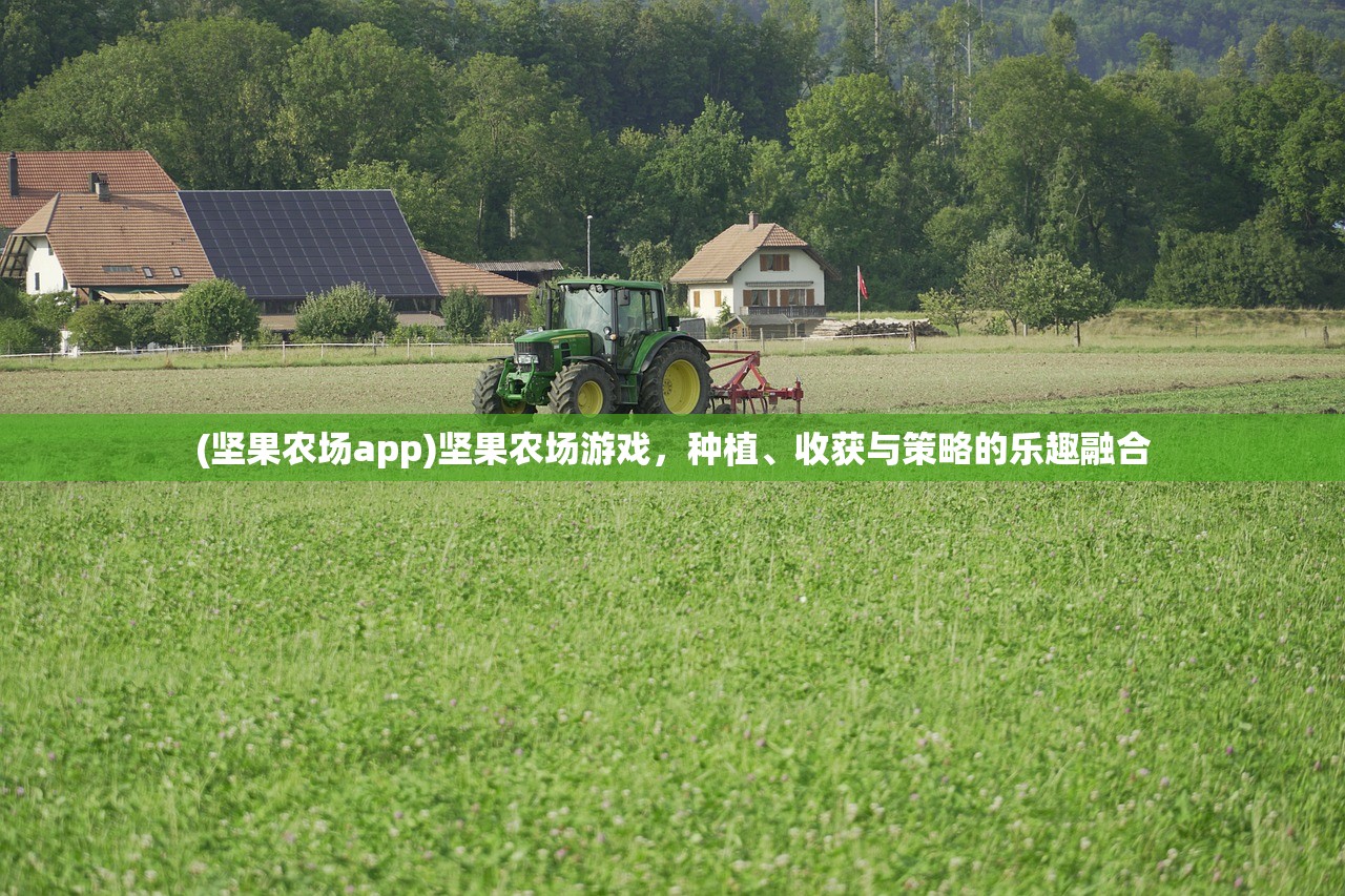 (城主天下阵容推荐图)城主天下阵容推荐，策略分析与最佳组合探讨