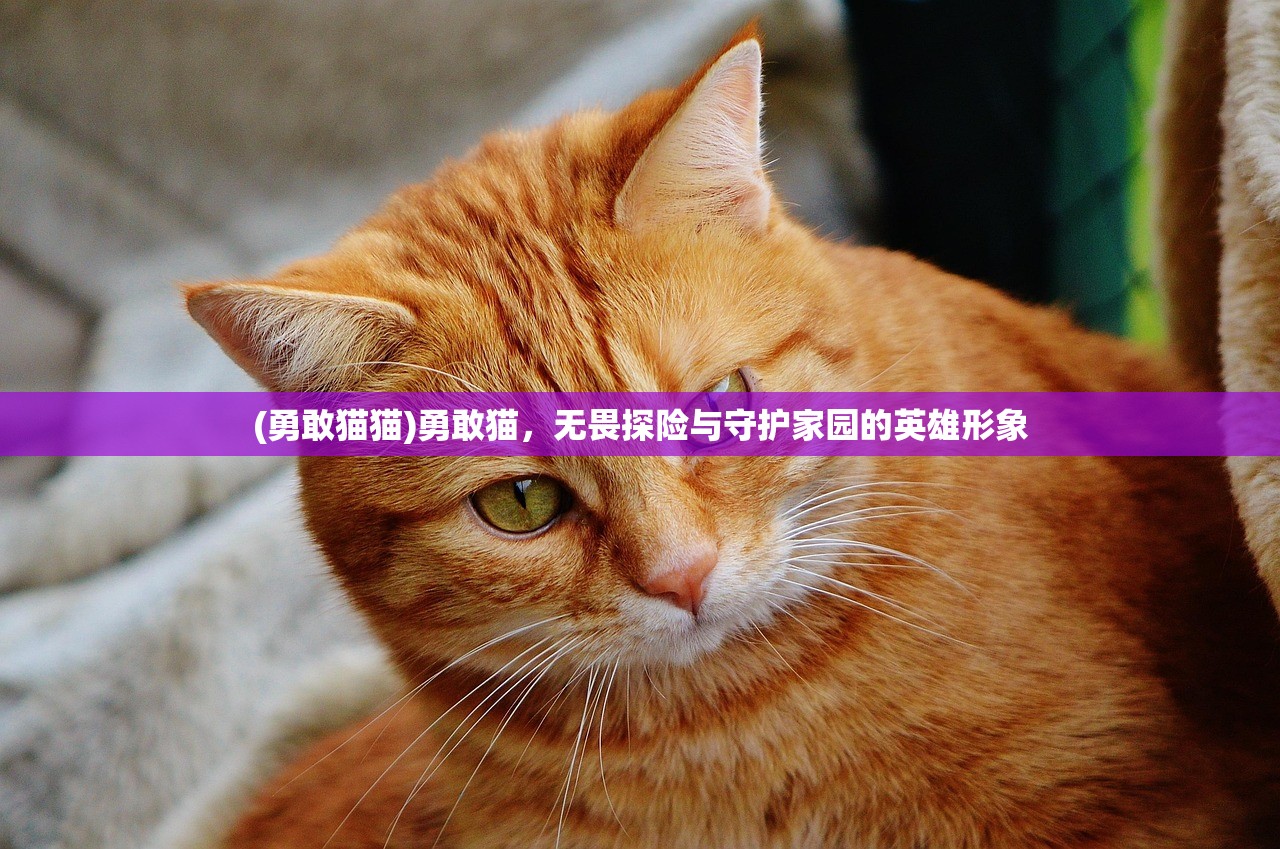 (勇敢猫猫)勇敢猫，无畏探险与守护家园的英雄形象