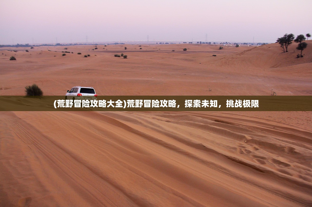 (少女次元萌新成长攻略大全)少女次元萌新成长攻略大全