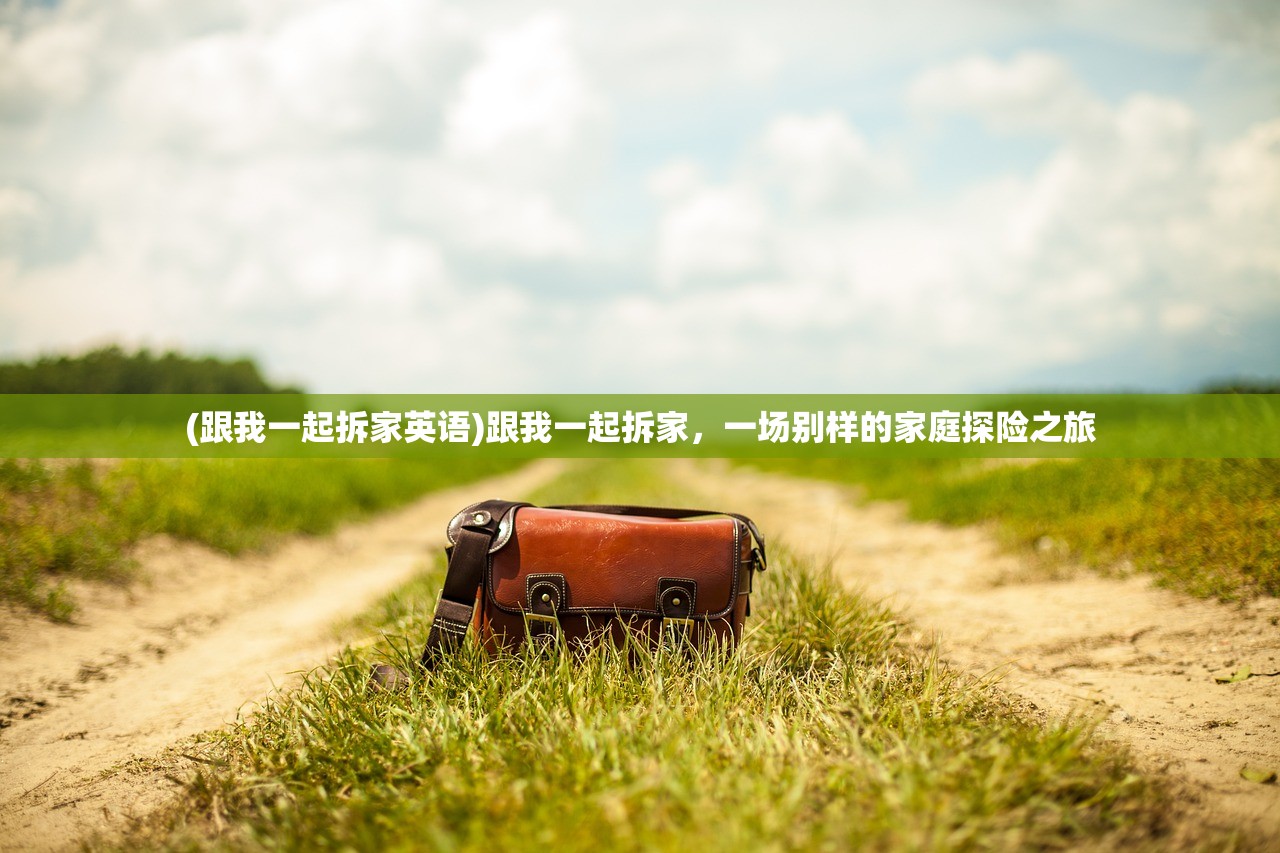 (跟我一起拆家英语)跟我一起拆家，一场别样的家庭探险之旅