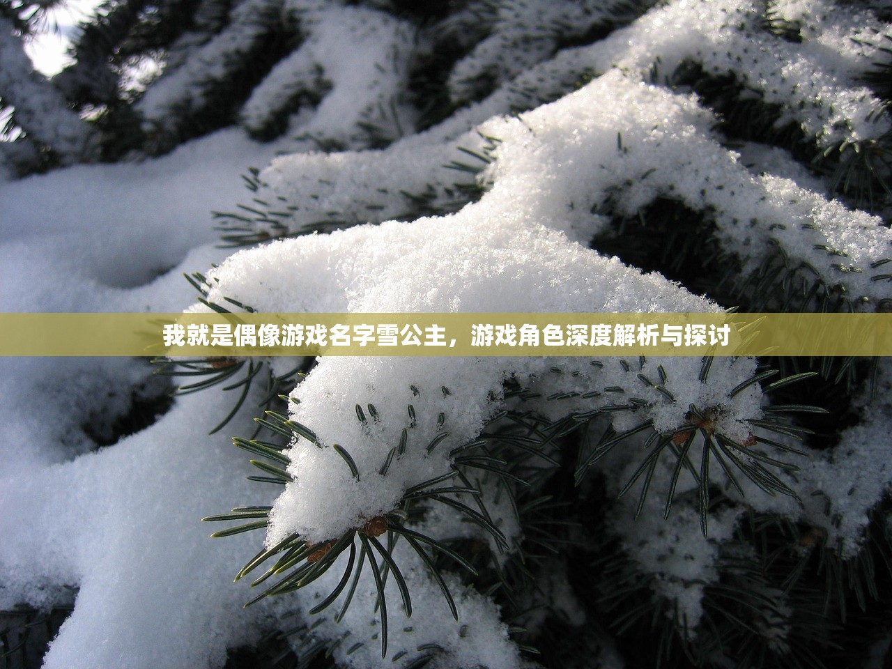 我就是偶像游戏名字雪公主,游戏角色深度解析与探讨 我就是偶像游戏名字雪公主,游戏角色深度解析与探讨