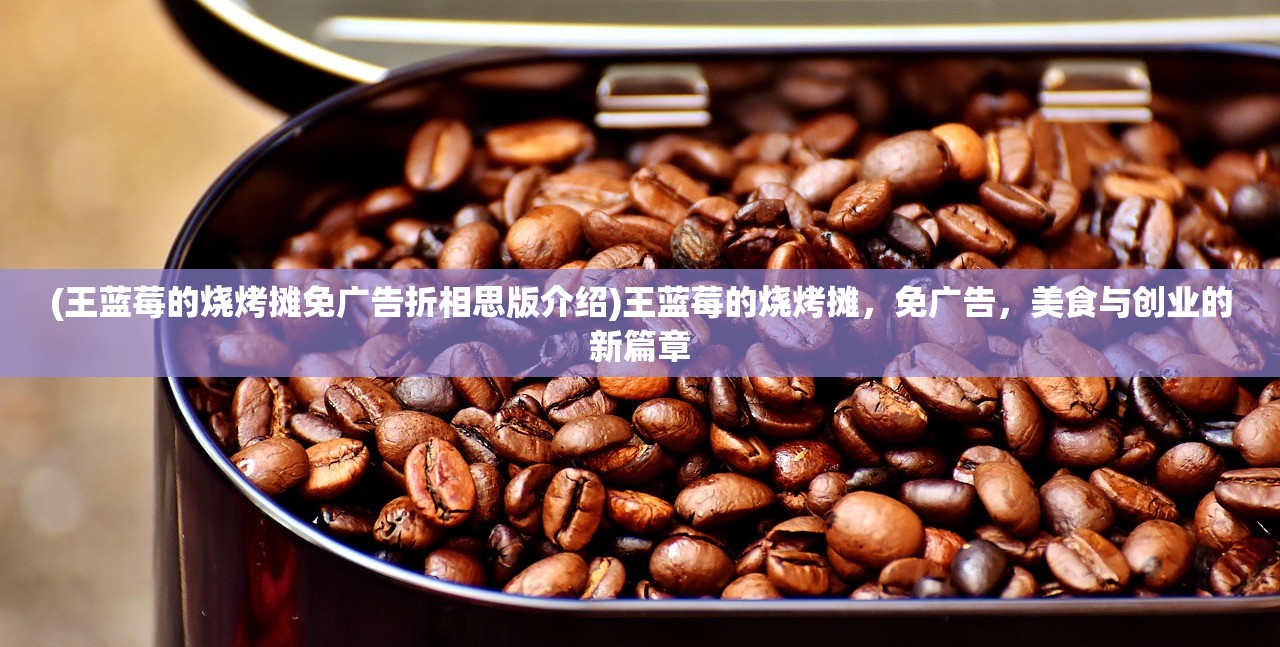 (王蓝莓的烧烤摊免广告折相思版介绍)王蓝莓的烧烤摊，免广告，美食与创业的新篇章