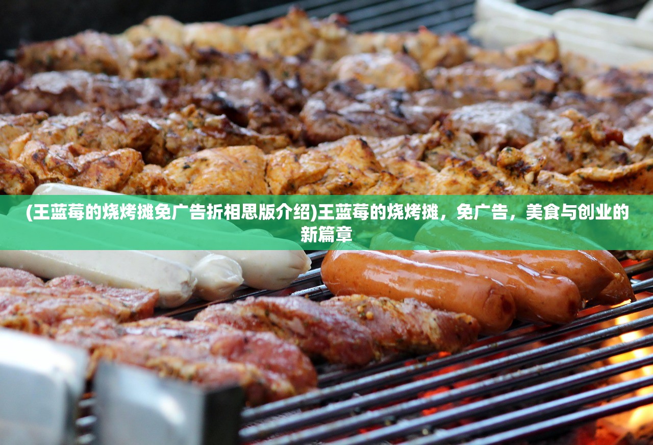 (王蓝莓的烧烤摊免广告折相思版介绍)王蓝莓的烧烤摊，免广告，美食与创业的新篇章