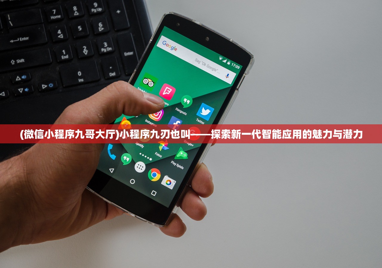 (微信小程序九哥大厅)小程序九刃也叫——探索新一代智能应用的魅力与潜力