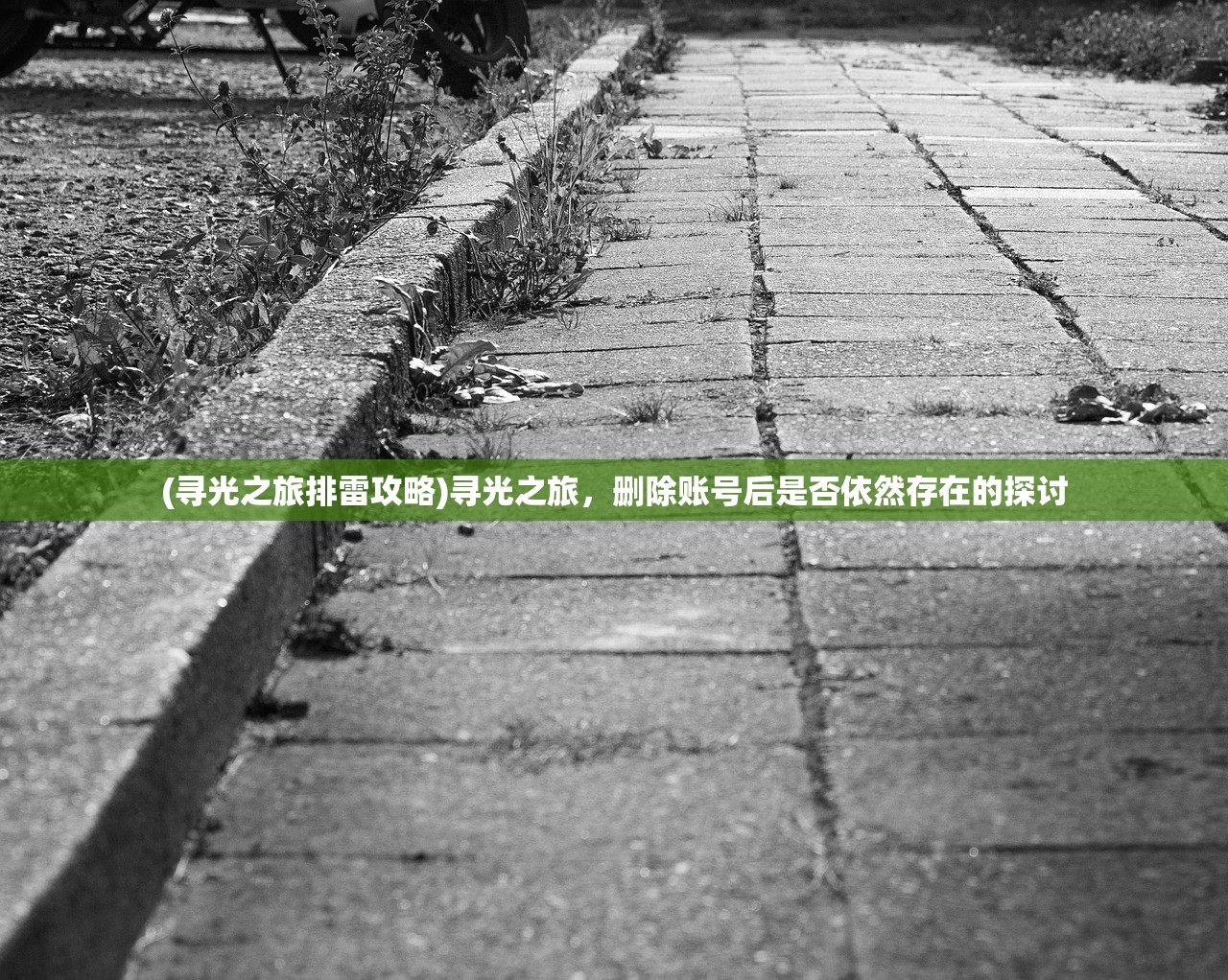 (寻光之旅排雷攻略)寻光之旅，删除账号后是否依然存在的探讨