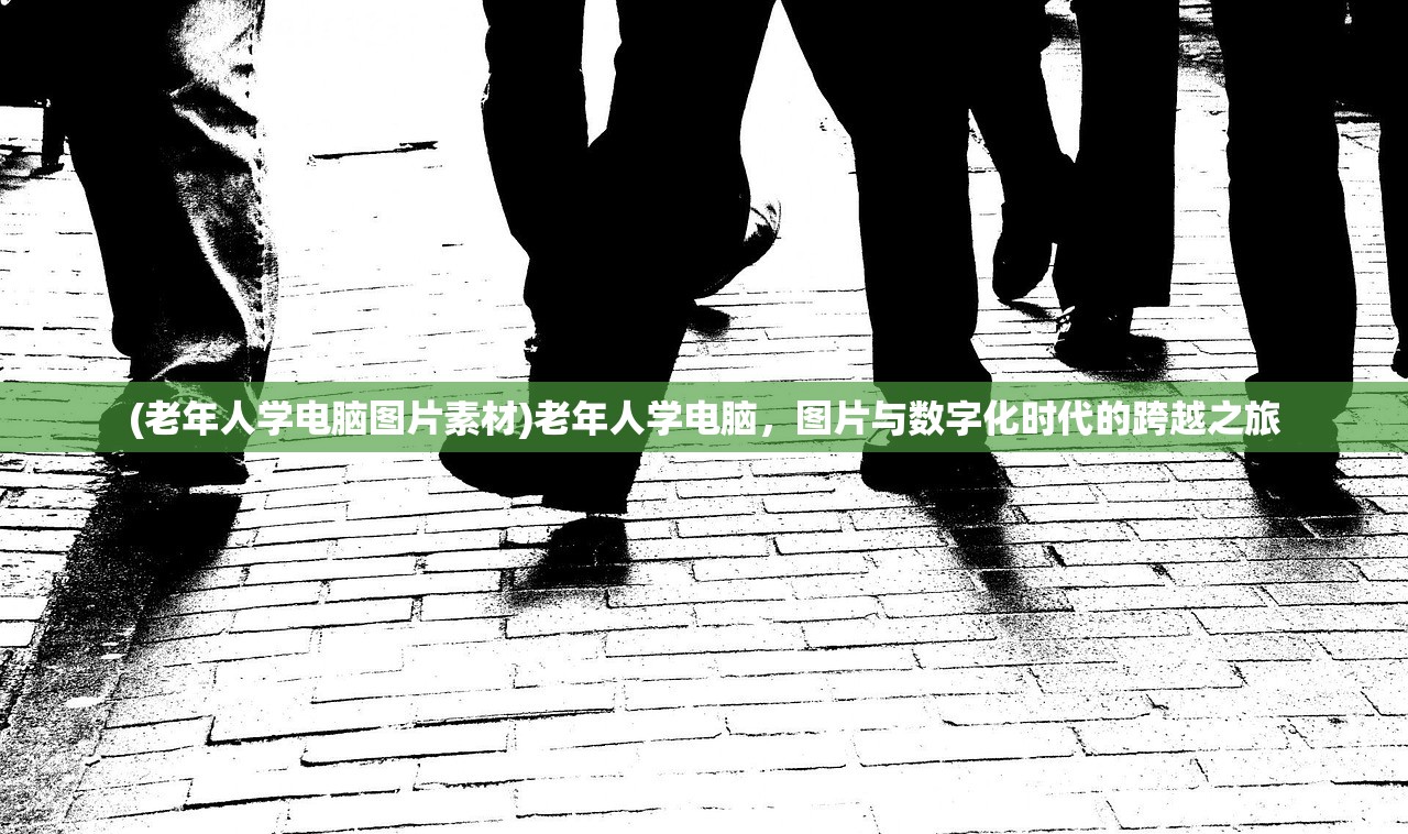 (老年人学电脑图片素材)老年人学电脑,图片与数字化时代的跨越之旅 (老年人学电脑图片素材)老年人学电脑,图片与数字化时代的跨越之旅