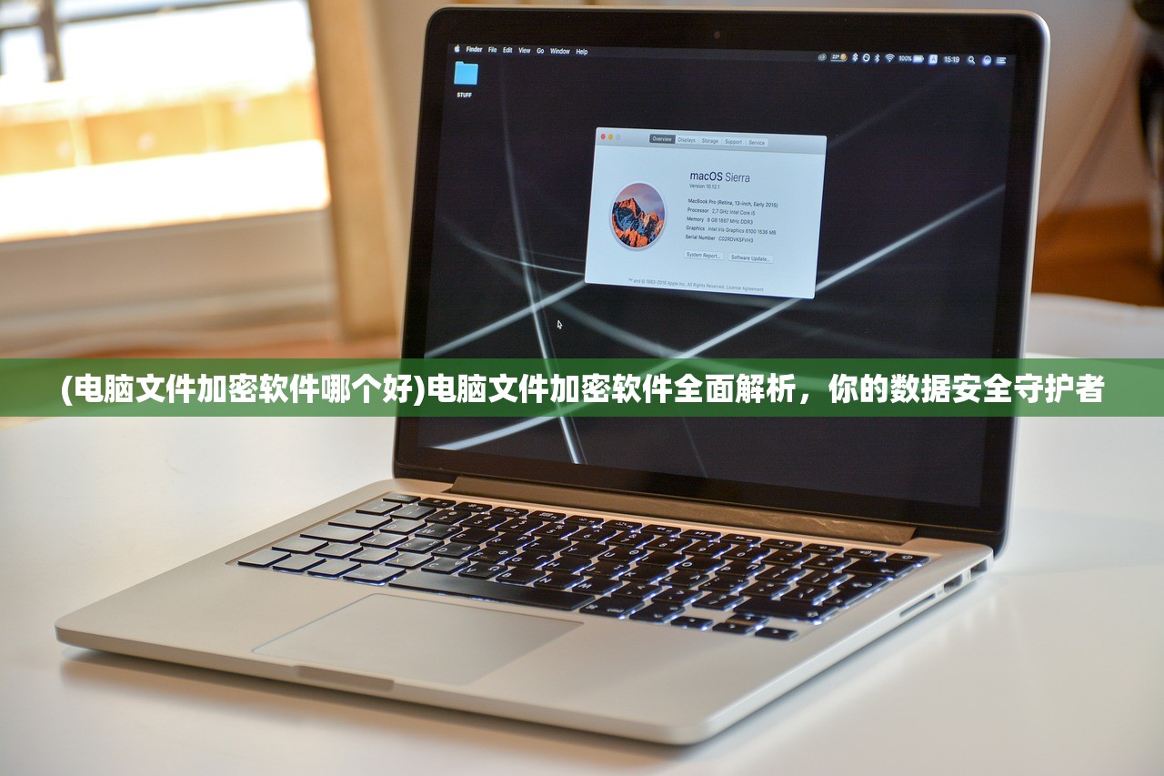 (电脑文件加密软件哪个好)电脑文件加密软件全面解析，你的数据安全守护者