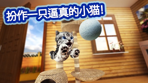 小猫咪大城市手机版无限金币无限宝石下载无广告-小猫咪大城市手机版手游下载v.0.55