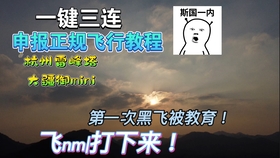 刀疤宇宙公益直装下载免费-刀疤宇宙公益直装无限金币不用实名下载v.4.84